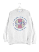 Jerzees y2k Illinois Print Sweater Grau XL (front image)