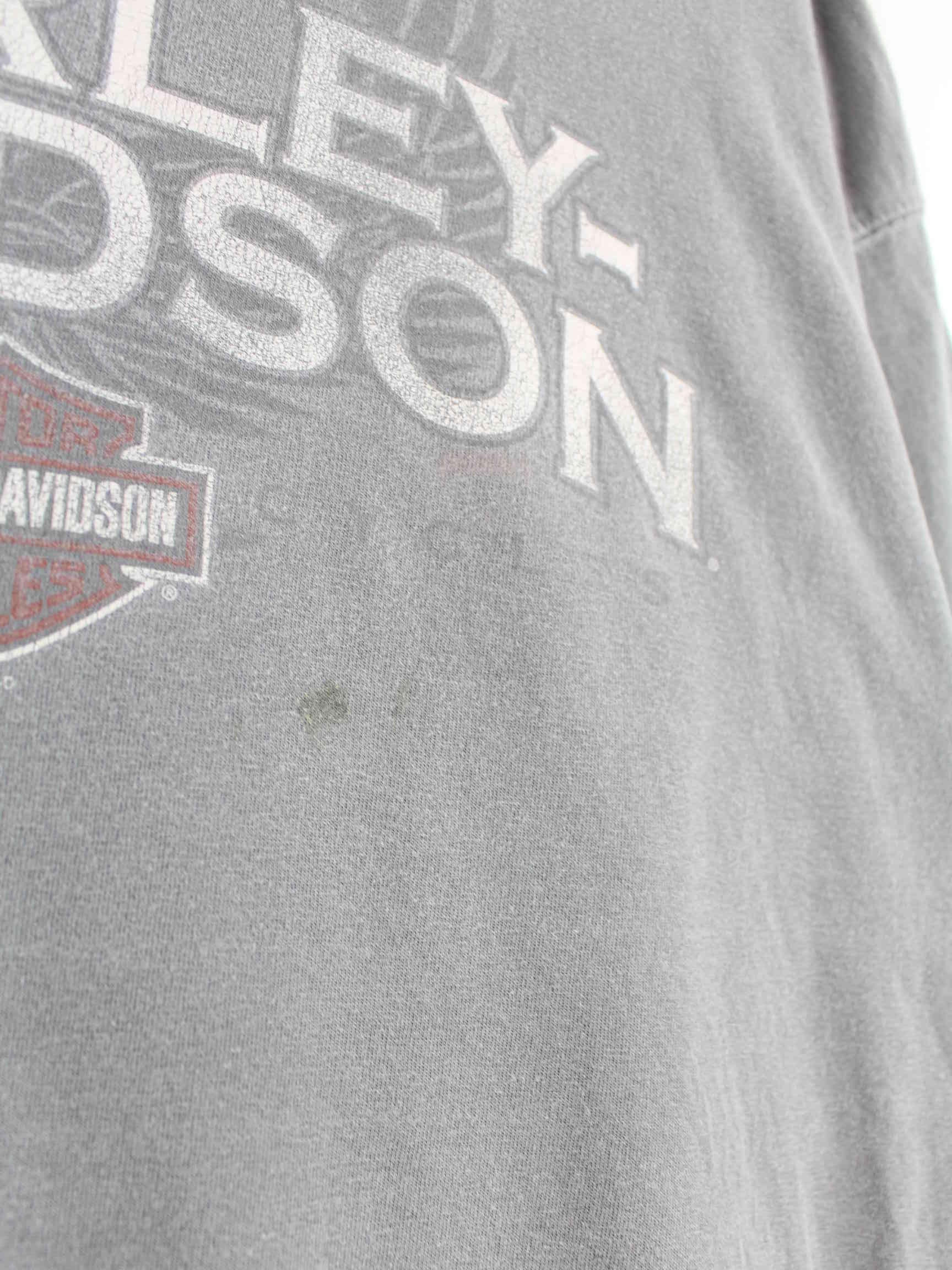 Harley Davidson 00s Lebanon Print T-Shirt Grau XL (detail image 2)