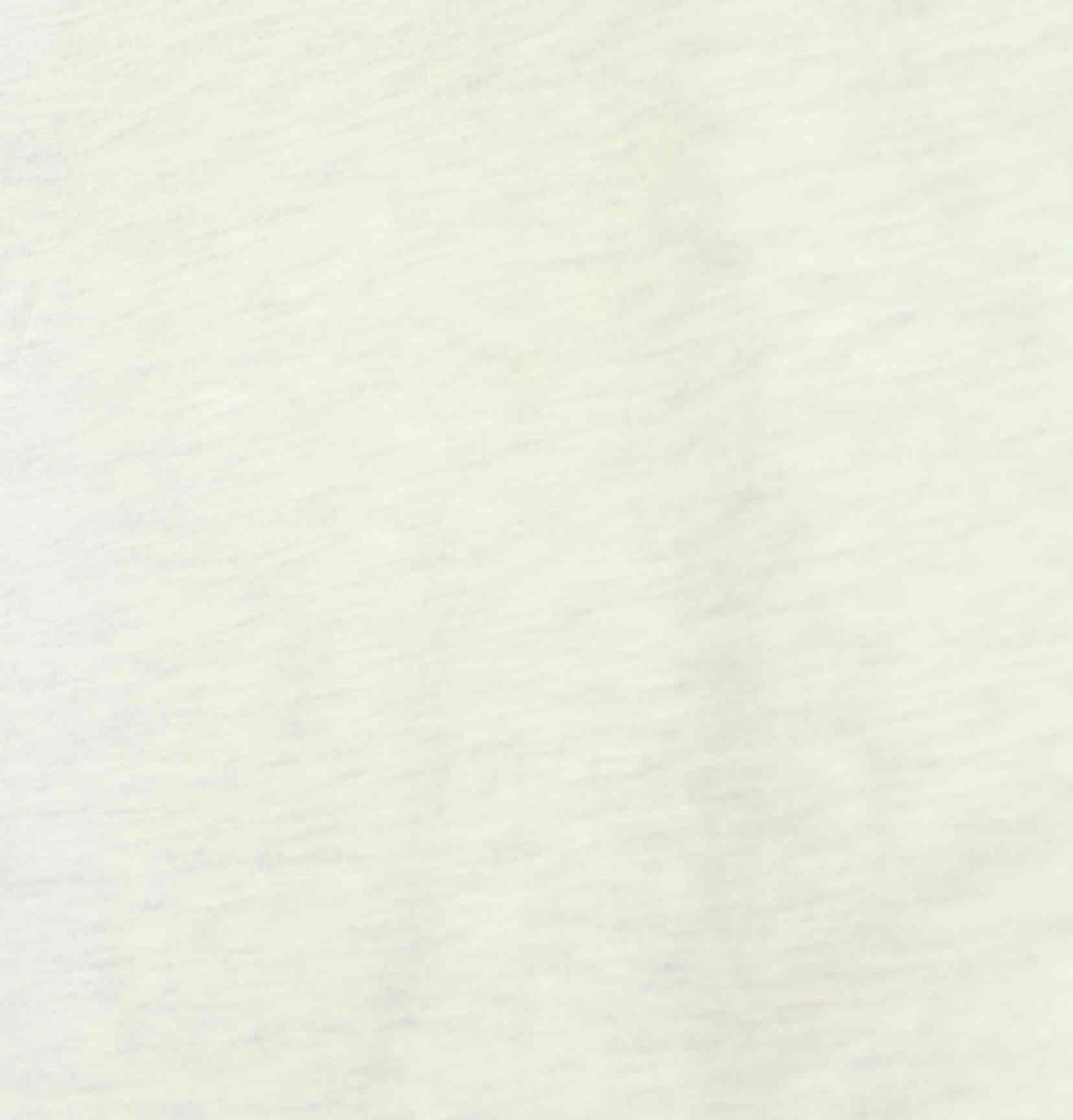 Jerzees 90s Vintage 49ers Print T-Shirt Grau XL (detail image 6)