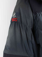 The North Face Summit Series 700 Puffer Jacke Grau L (detail image 3)