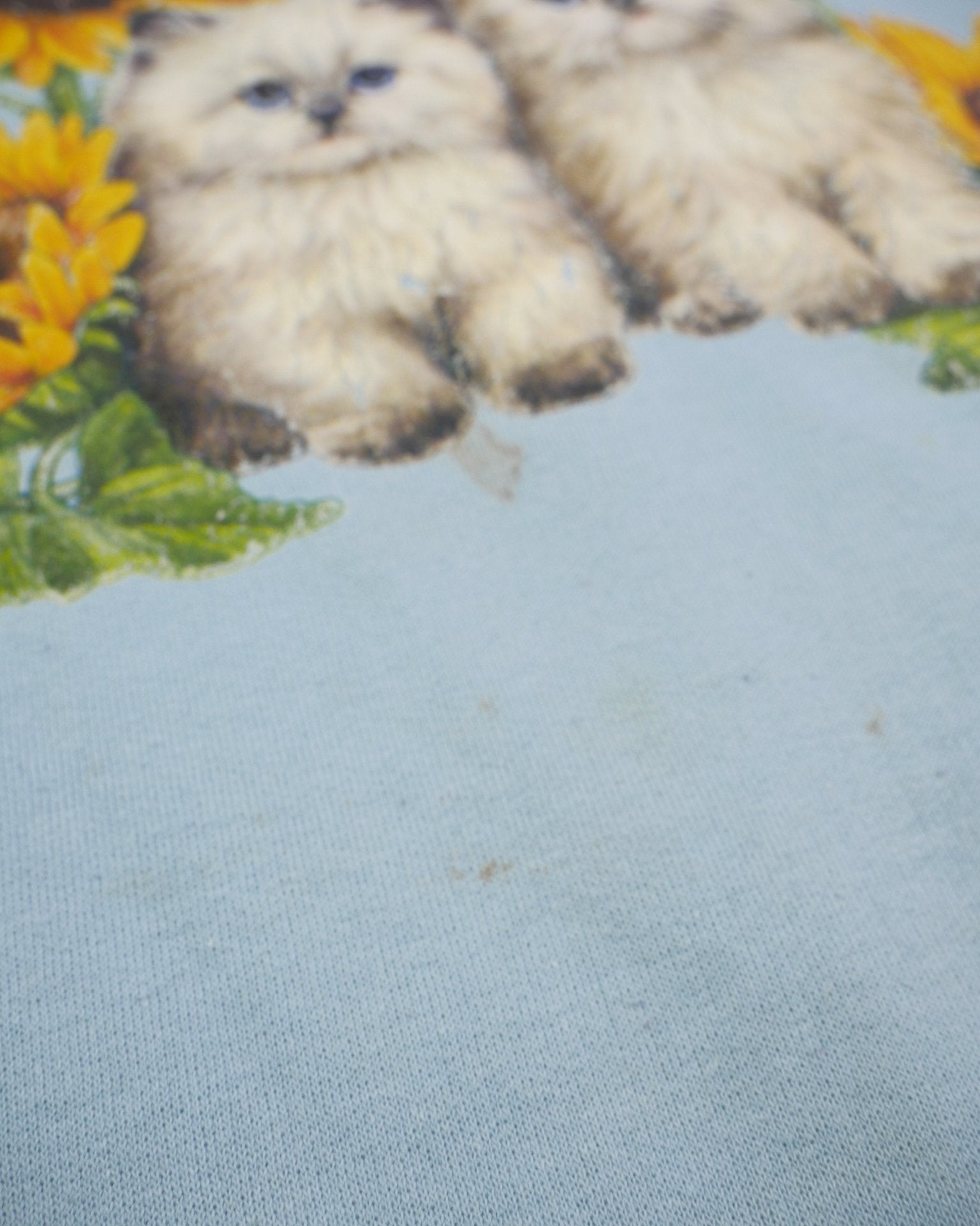 hanes Cat printed Graphic babyblue Vintage Sweater - Peeces