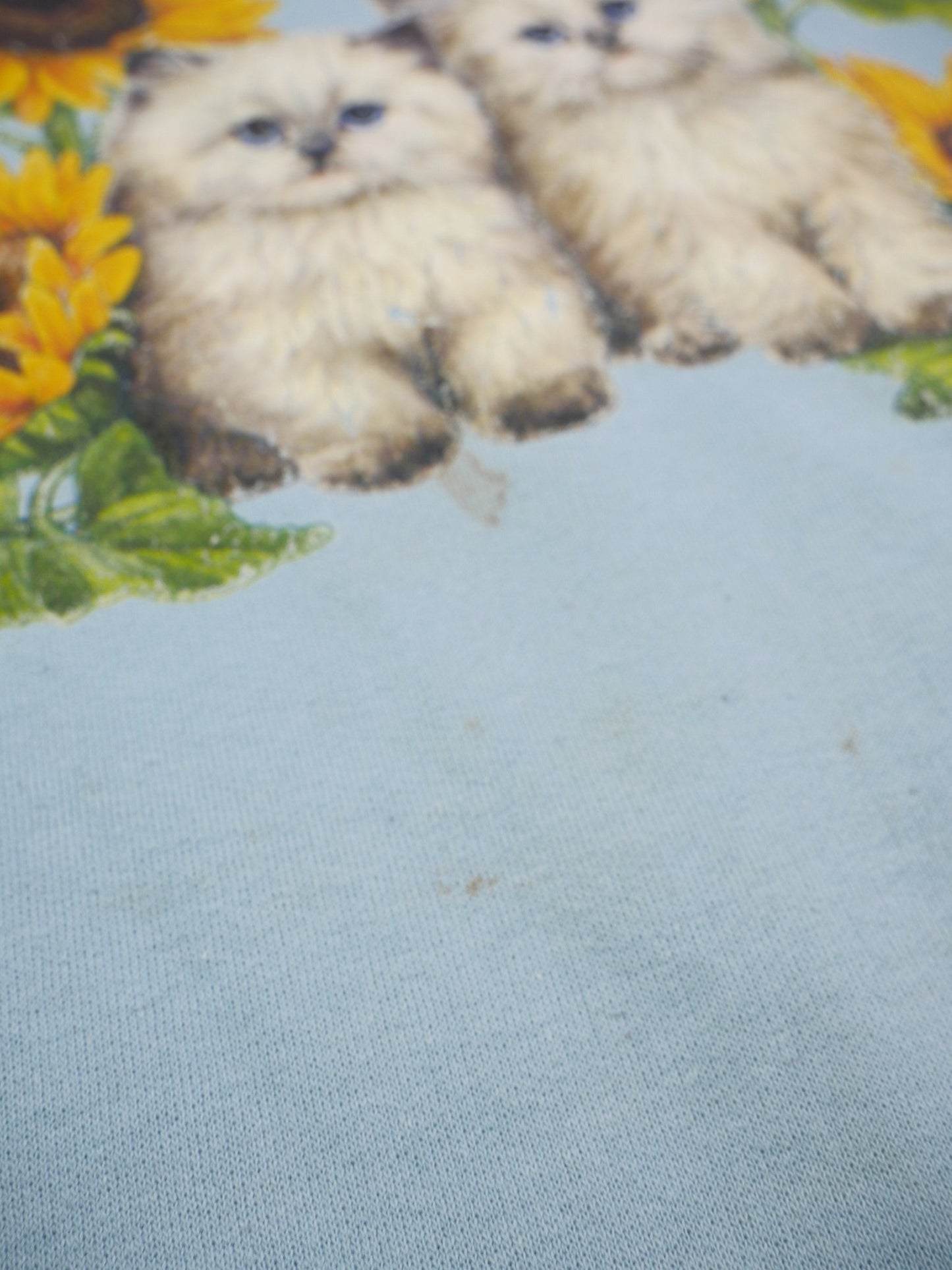 hanes Cat printed Graphic babyblue Vintage Sweater - Peeces