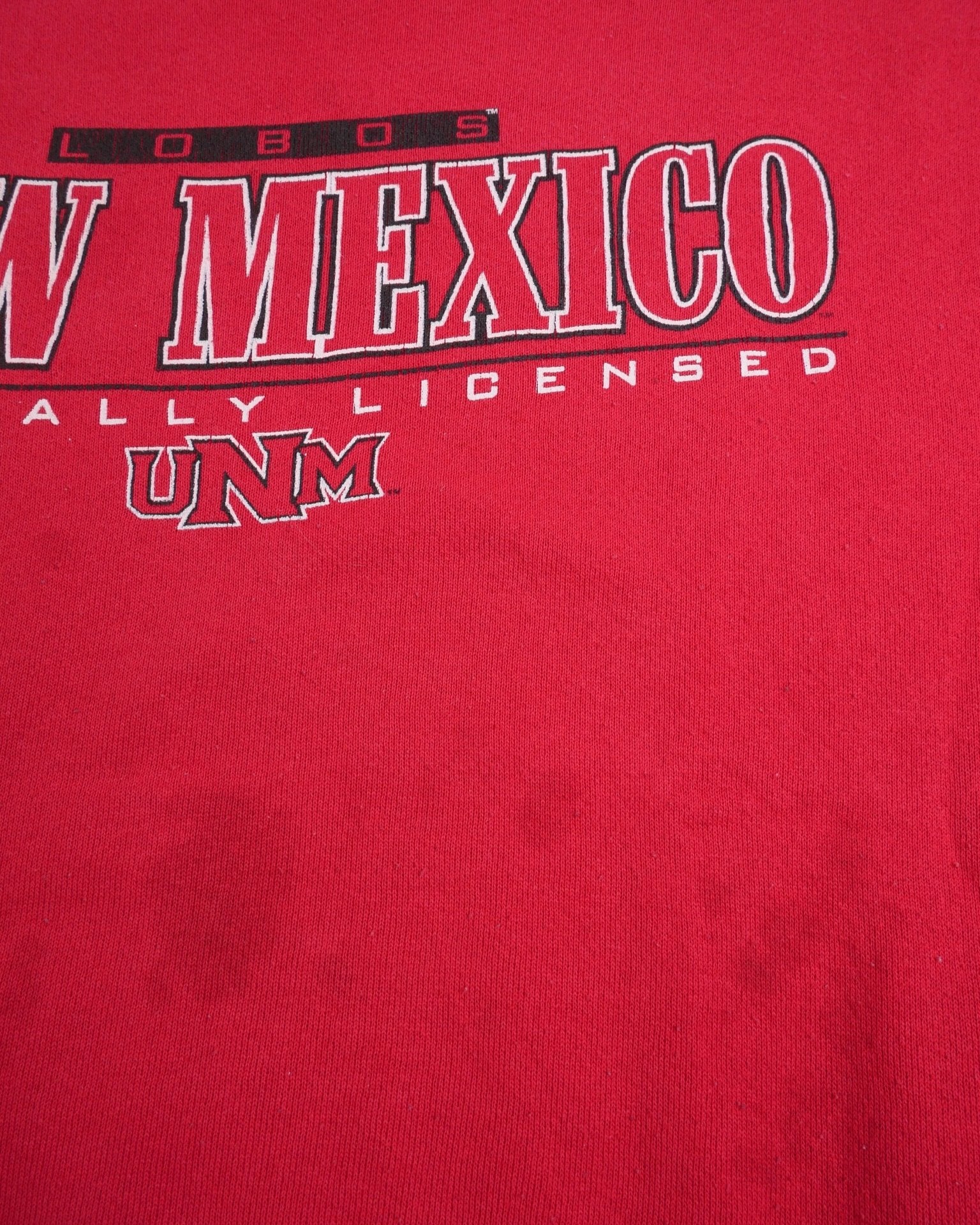 New Mexico printed Graphic red Sweater - Peeces