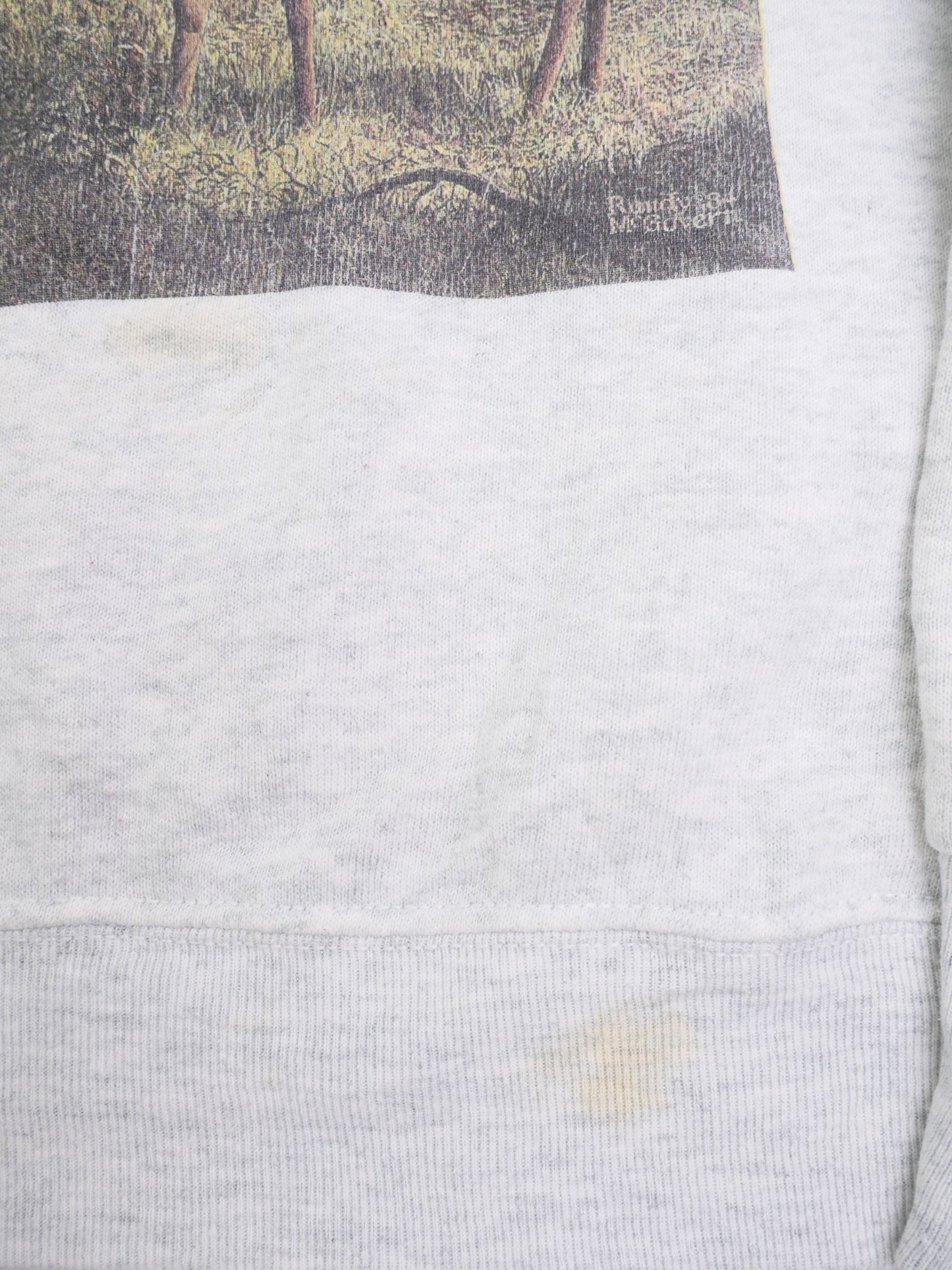 Wildlife printed Graphic grey Sweater - Peeces